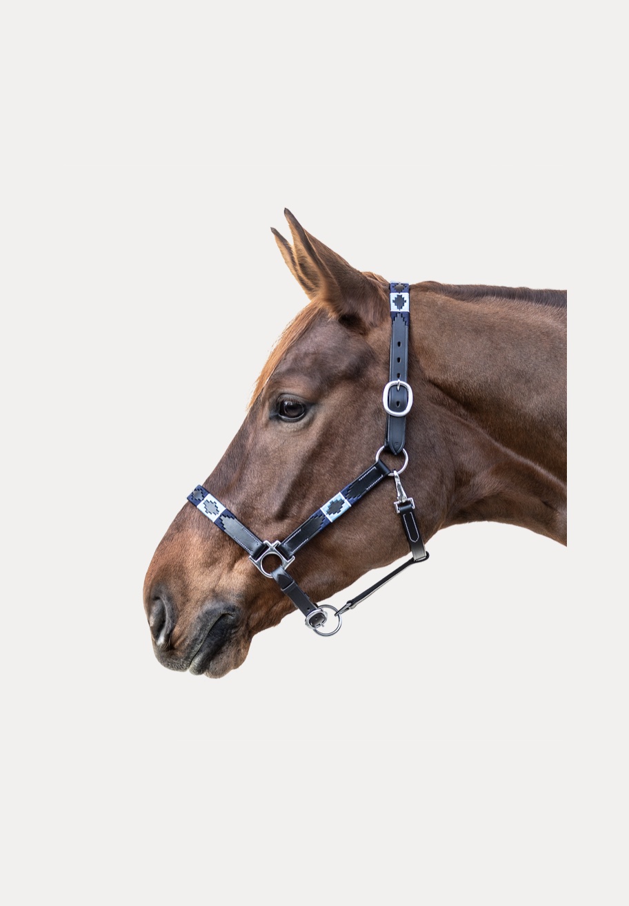 Cavezza in Cuoio Polo Waldhausen - immagine 3