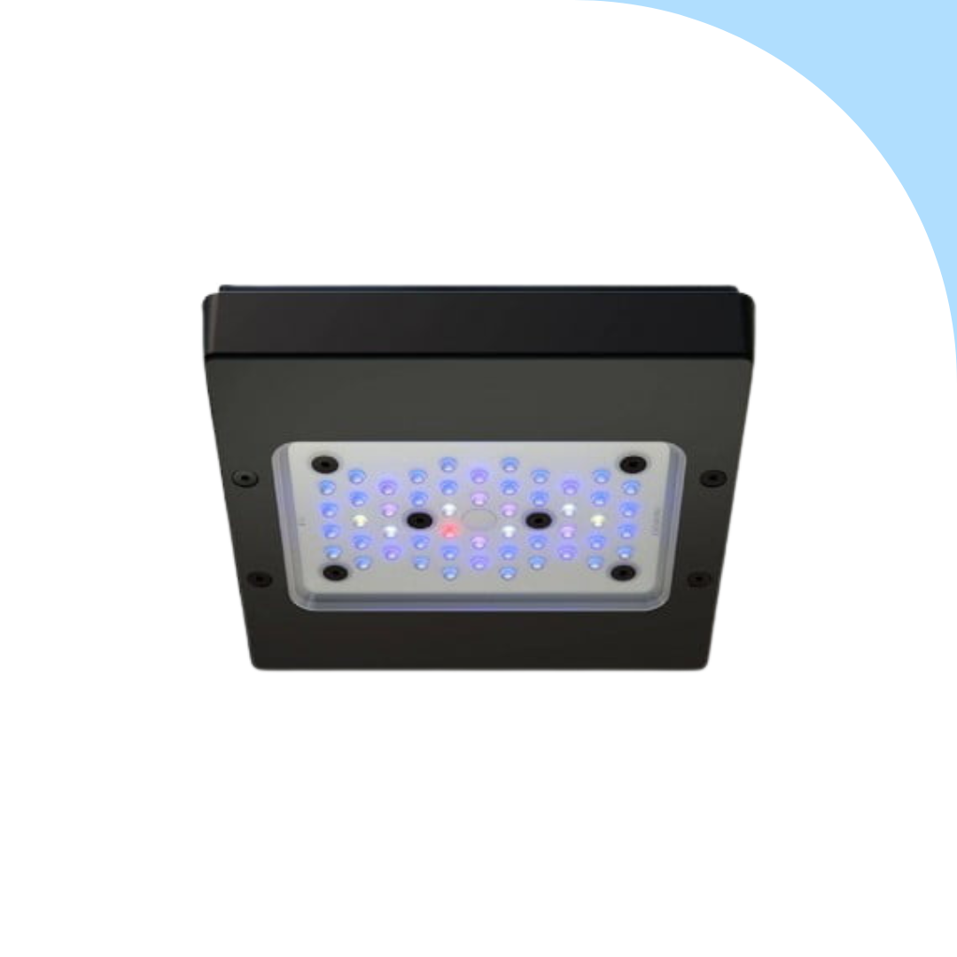 Ecotech Marine – Radion XR15W G6 BLU – NOLEGGIO - immagine 2