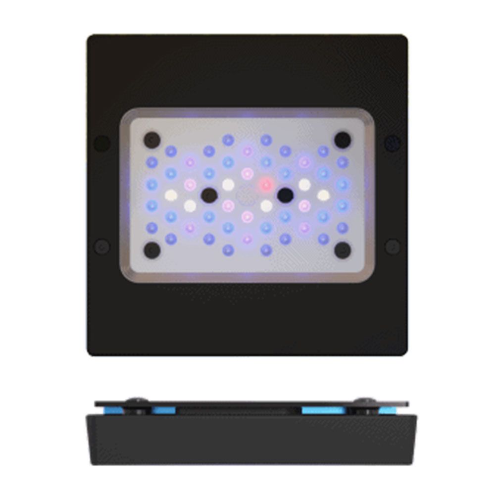 Ecotech Marine – Radion XR15W G6 BLU – NOLEGGIO - immagine 8
